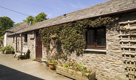 Demelza holiday cottage